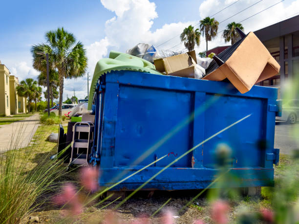 Yard Cleanup Services in Stokesdale, NC